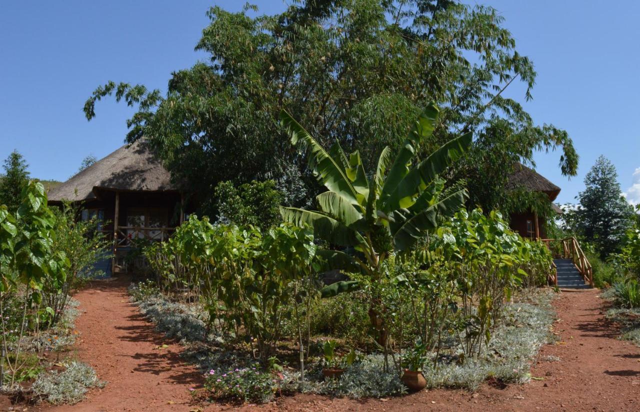 Rutete Eco Lodge Rwinkwavu Extérieur photo