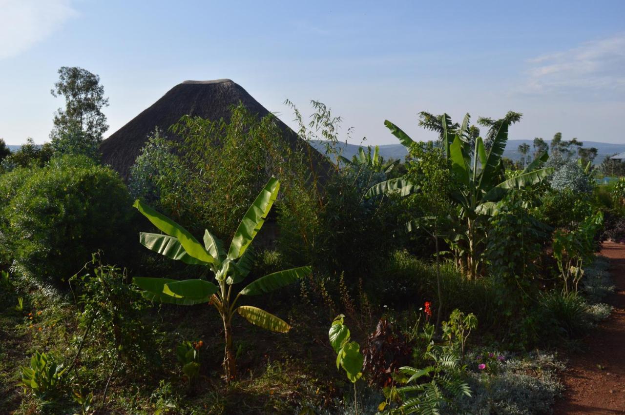 Rutete Eco Lodge Rwinkwavu Extérieur photo