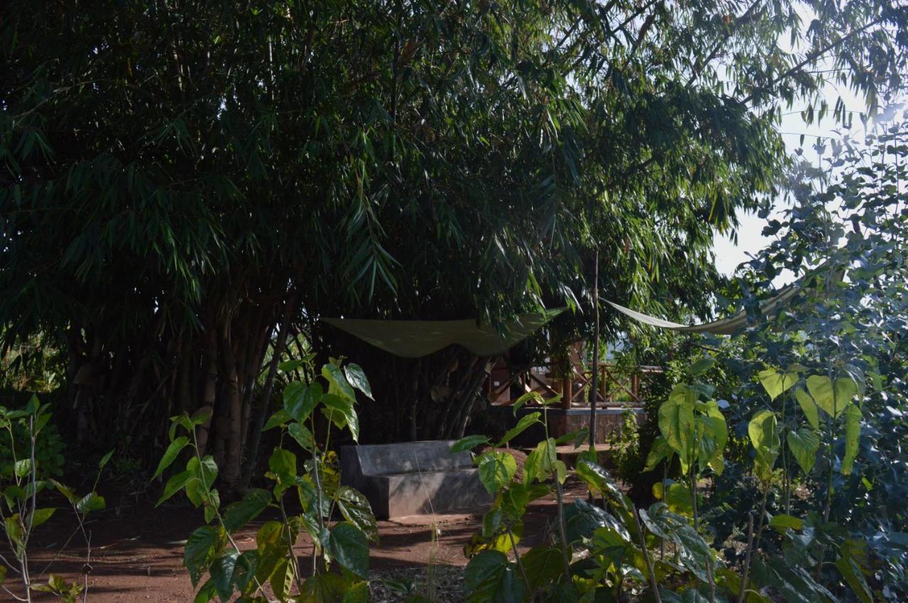 Rutete Eco Lodge Rwinkwavu Extérieur photo