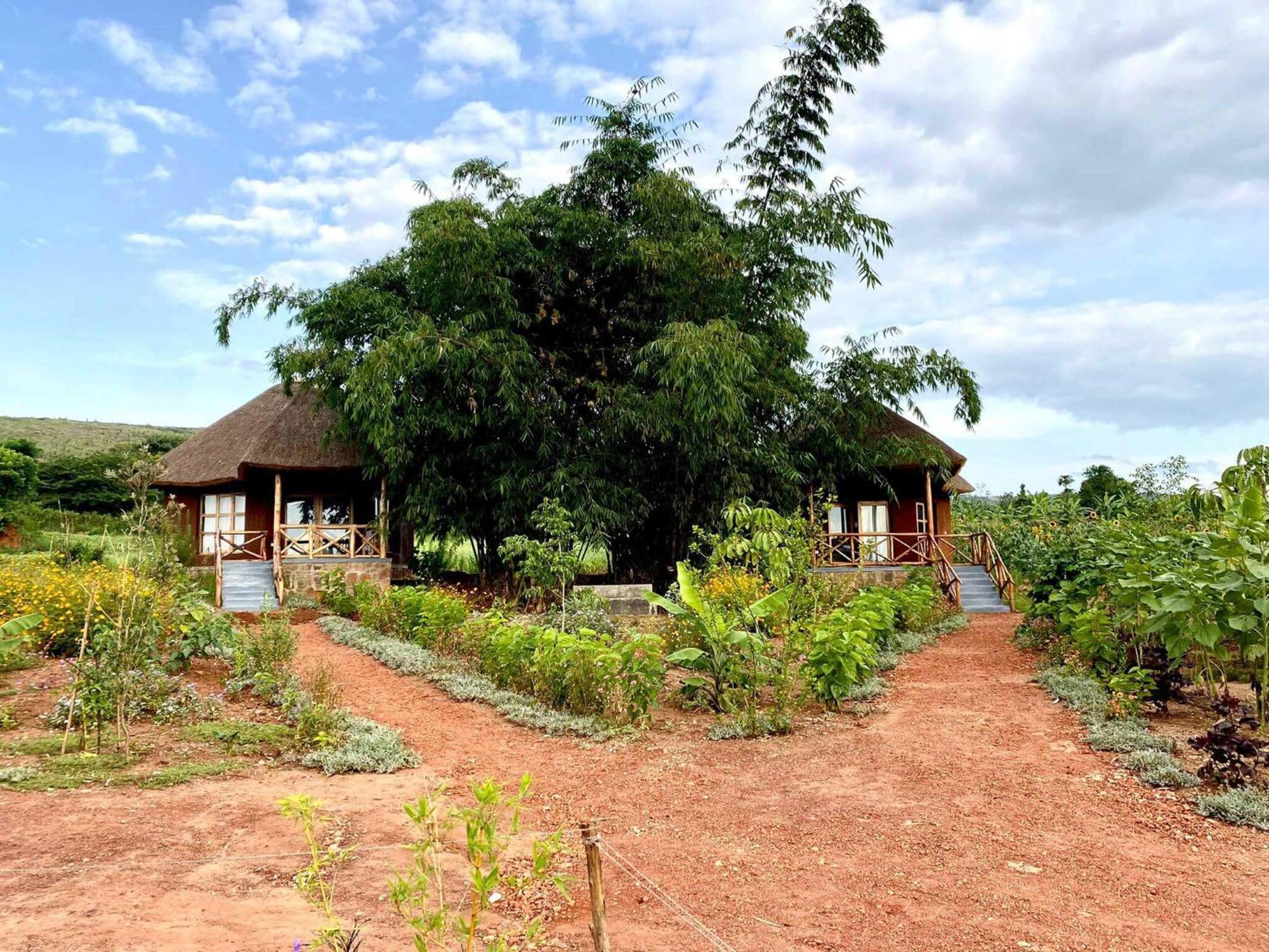 Rutete Eco Lodge Rwinkwavu Extérieur photo
